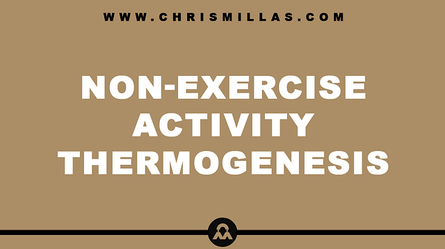 Non-Exercise Activity Thermogenesis (NEAT) Explained Extremely Simply