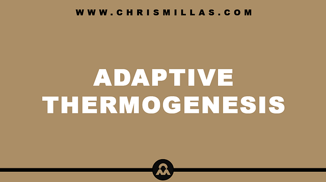 Adaptive Thermogenesis Explained Simply