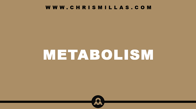 Metabolism Explained Simply