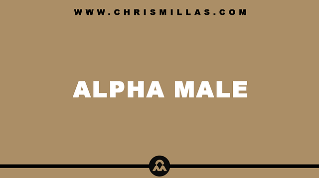 Alpha Male Explained Simply