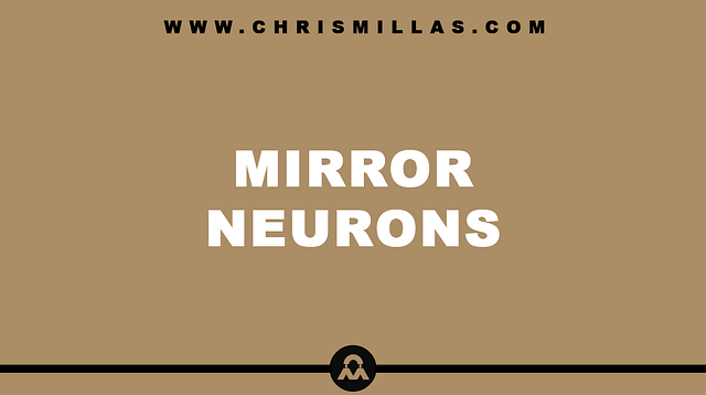 Mirror Neurons Explained Simply