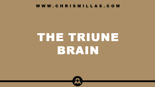 The Triune Brain Explained Simply